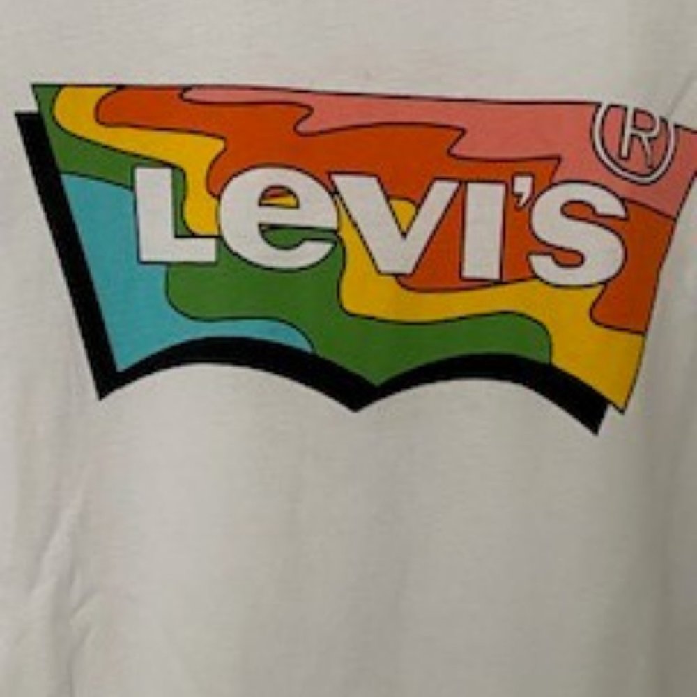 Levis Graphic Tee, large, festival wear, Y2K